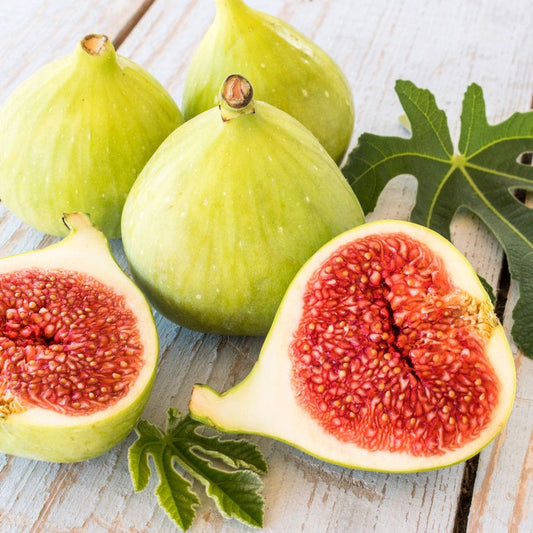 Smochin Desert King Pe Rod - Anul 3 - Rădăcină ambalată