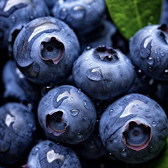 Afin - Duke - Ghiveci - Anul 2 - Aqua Flowers