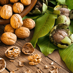 Nuc Chandler - Rădăcină Ambalată Anul 3 - Înălțime la livrare 160–180 cm - Aqua Flowers