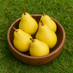 Păr Columnar Decora - Rădăcină Ambalată Anul 2