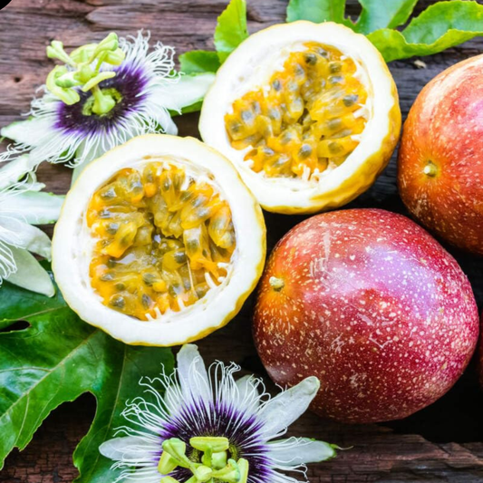 Maracuja Passiflora edulis - Floarea pasiunii (fructe comestibile) 70-90 cm - Ghiveci