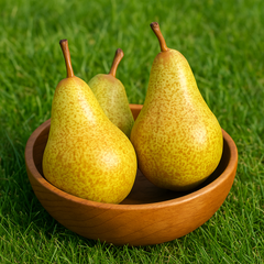 Păr Columnar Concorde - Rădăcină Ambalată Anul 2-3 - Aqua Flowers