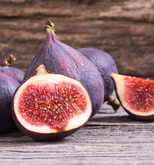 Smochin Rouge de Bordeaux Pe Rod - Anul 3 - Rădăcină ambalată