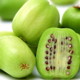 Kiwi Dr. Szymanowski Autofertil - Rezistent la ger - Ghiveci 2L