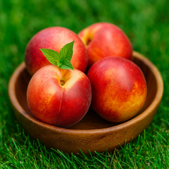 Nectarin Columnar Madego - Rădăcină Ambalată Anul 2-3 - Aqua Flowers