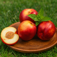 Nectarin Columnar Fantasy - Rădăcină Ambalată Anul 2-3 - Aqua Flowers